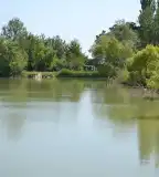 Tótszentgyörgyi horgásztó, Tótszentgyörgy