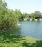 Horgásztó, Vámosszabadi