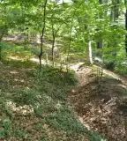 Vén Fák tanösvény, Bélavár