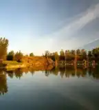 Fish Farm Horgásztó, Zsennye