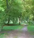 Bregyó közi kiserdő, Székesfehérvár