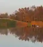 Sóstói Parkerdő, Kiskunhalas