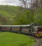 Erdei vasút, Kismaros