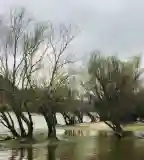 Kisoroszi Szigetcsúcs, Kisoroszi