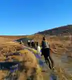 Deres Lovasudvar, Kistarcsa