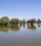 Vályogos horgásztó, Kiszombor