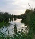 Toma-tó Horgászparadicsom, Kocsér