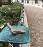 Kolodko Balta miniszobor, Budapest