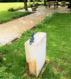 Gróf Könyvtára szoborcsoport, Biri