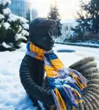 Kolodko Utcazenész miniszobor, Veszprém