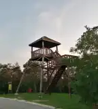 Kópházi kilátó, Kópháza