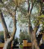 Házaspárok útja, Körmend