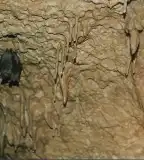 Násznép-barlang, Kosd