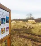 Szár-hegy tanösvény, Kőszárhegy