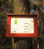 Csillaghúr tanösvény, Kőszeg