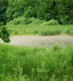 Fekete-hegyi tavak, tengerszemek, Köveskál