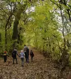 Kontyvirág tanösvény, Lakitelek