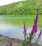 Lázbérci víztározó, Dédestapolcsány