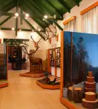 Göcsej kincsei, az erdő és a fa, Lenti