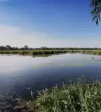 Holt-Duna tanösvény, Lipót