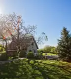 Dióliget, Lovasberény