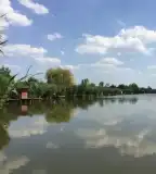 Priszpa-tó, Madaras