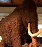 Magyar Természettudományi Múzeum, Budapest