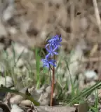 Bökényi tanösvény, Magyarcsanád