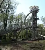 Lombkorona sétány, Makó