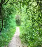 Csodabogyó tanösvény, Siklós