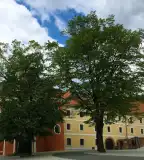 Máriagyűdi Kegytemplom, Siklós