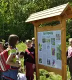 Csiperke Tanösvény, Márokpapi