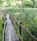 Ártéri tanösvény, Mártély