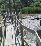 Tisza-holtág tanösvény, Mártély