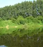 Mátyusi Rózsás holtág, Mátyus