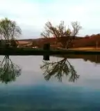 Horgásztó, Mecseknádasd