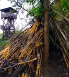 Merzse mocsár, Budapest