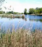 Szélmezői-tó, Mezőlak