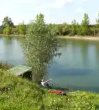 Süllős bányató, Milota