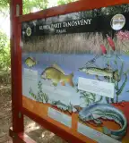 Kurca-parti Tanösvény, Mindszent