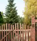 Avasi Arborétum, Miskolc