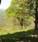 Barátok Útja Tanösvény, Miskolc