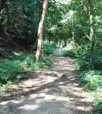 Forrás-völgyi Erdei Tanösvény, Miskolc