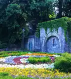 Függőkert, Miskolc