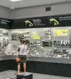 Herman Ottó Múzeum, Miskolc