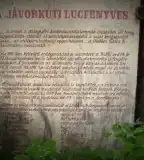 Jávorkúti Tanösvény, Miskolc