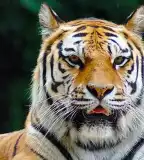 Miskolci Állatkert és Kultúrpark / Miskolc Zoo, Miskolc