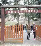 Hősök ligete, Mogyoród