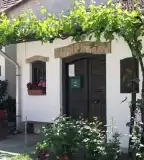 Mogyoródi Pincesor, Mogyoród