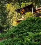 Moodhouse 2623, Kismaros